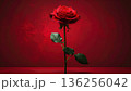 A single beautiful red rose blossom with green leaves and a delicate bud stands isolated on a black background as a romantic floral gift for Valentine's Day 136256042