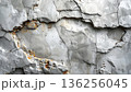 Rough brown bark of an old tree creates a natural wood texture with a cracked grunge surface and weathered abstract patterns 136256045