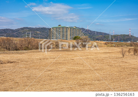 冬枯れの淀川河川敷風景 大阪府高槻市 冬枯れの淀川河川敷風景 大阪府高槻市 136256163