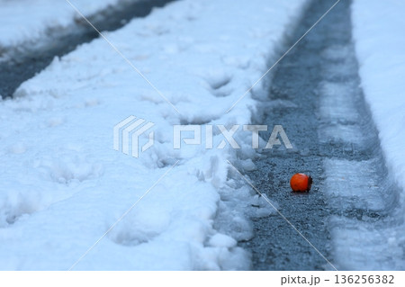 雪の上に落ちた柿 136256382