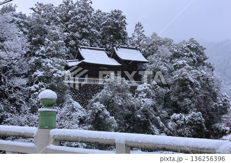 雪の根雨宿 3 雪の根雨宿 3 136256396