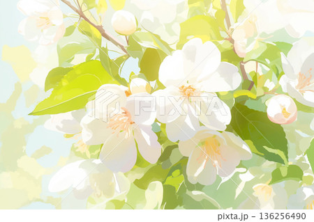 陽光に照らされたリンゴの花 136256490