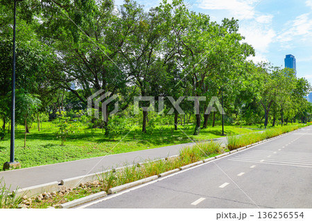緑が多い公園の道路 136256554