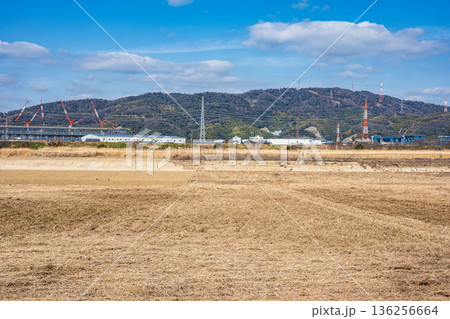 冬枯れの淀川河川敷風景　大阪府高槻市 136256664