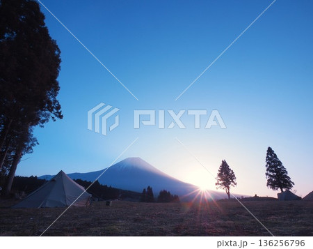 静岡県　TREE LINE CHILLAX FIELDから見る夜明け　1月 136256796