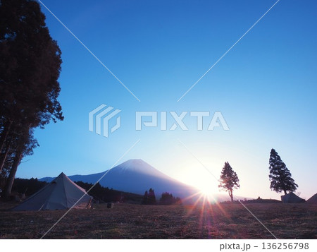 静岡県　TREE LINE CHILLAX FIELDから見る夜明け　1月 136256798