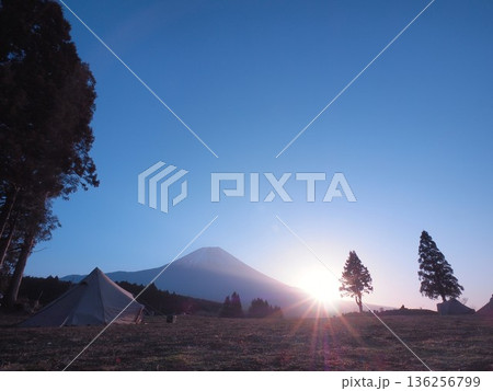 静岡県　TREE LINE CHILLAX FIELDから見る夜明け　1月 136256799