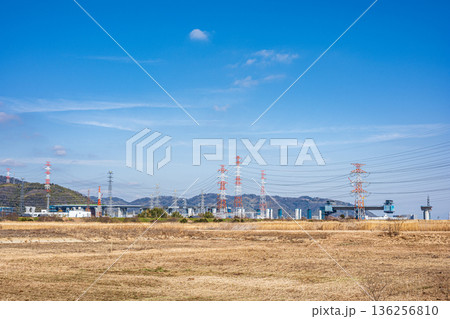 冬枯れの淀川河川敷風景　新名神高速道路工事　大阪府高槻市 136256810