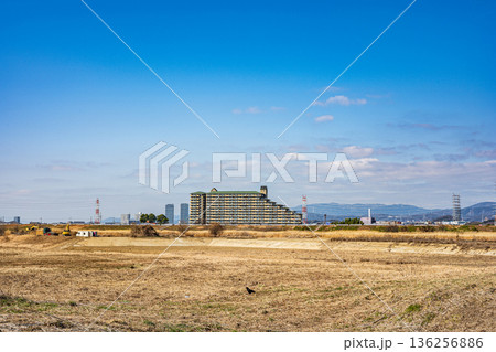 冬枯れの淀川河川敷 大阪府高槻市 冬枯れの淀川河川敷 大阪府高槻市 136256886