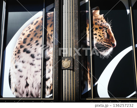 ブランドショップの外観｜銀座 136257232