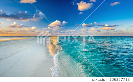 Tropical Beach with Clear Turquoise Ocean 136257718