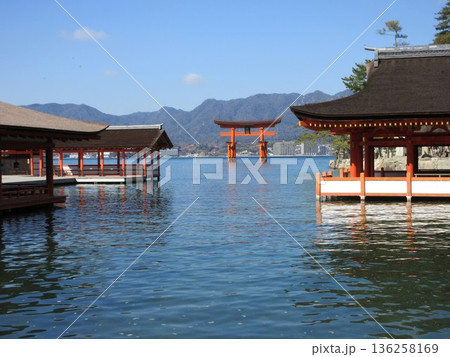 広島県宮島！厳島神社東回廊から望む大鳥居 136258169
