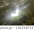 沖縄北部のハート形に見える山の風景｜パワースポットとして人気の自然景観写真 136258733