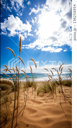 golden grass grows on the sandy seashore 136258954