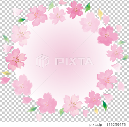 手描きの桜のフレームイラスト素材。飾り、春の訪れ、卒業、入学、和風イベントの背景デザイン 手描きの桜のフレームイラスト素材。飾り、春の訪れ、卒業、入学、和風イベントの背景デザイン 136259476