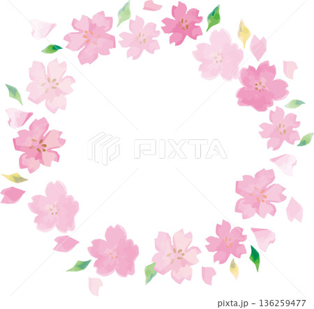 手描きの桜のフレームイラスト素材。飾り、春の訪れ、卒業、入学、和風イベントの背景デザイン 136259477