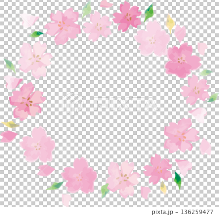 手描きの桜のフレームイラスト素材。飾り、春の訪れ、卒業、入学、和風イベントの背景デザイン 136259477
