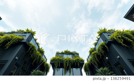 Greening of the metropolis. Landscape design in the style of vertical gardens. View from the bottom up 136259491