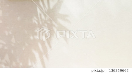 植物　影　光　日差し　木漏れ日 136259665