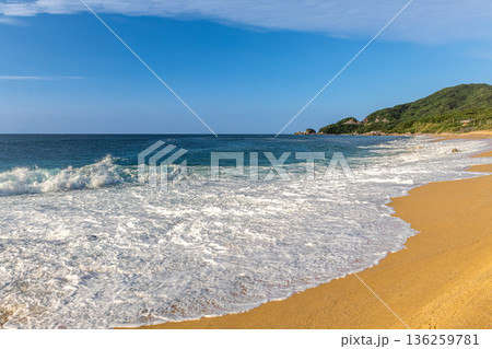 屋久島最大の海亀産卵地永田いなか浜　洋上アルプス屋久島(秋 136259781