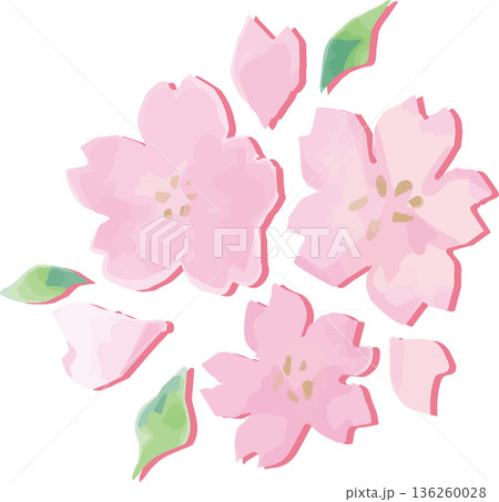 優しいタッチの水彩の桜イラスト 手描きの桜　飾り　お花見　春のお祝い、卒業式、入学式、和風背景素材 136260028