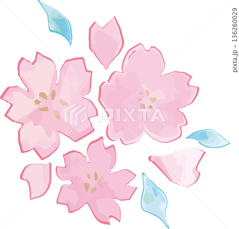優しいタッチの水彩の桜イラスト 手描きの桜 飾り お花見 春のお祝い、卒業式、入学式、和風背景素材 優しいタッチの水彩の桜イラスト 手描きの桜 飾り お花見 春のお祝い、卒業式、入学式、和風背景素材 136260029