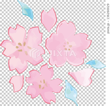優しいタッチの水彩の桜イラスト 手描きの桜 飾り お花見 春のお祝い、卒業式、入学式、和風背景素材 優しいタッチの水彩の桜イラスト 手描きの桜 飾り お花見 春のお祝い、卒業式、入学式、和風背景素材 136260029