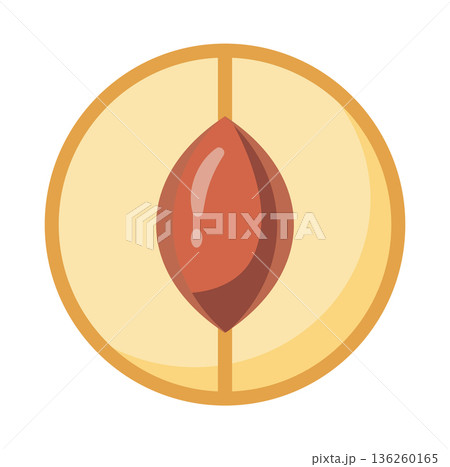 Cross-section of a peach showing the pit and flesh, in a simple, clean illustration style. Cross-section of a peach showing the pit and flesh, in a simple, clean illustration style. 136260165