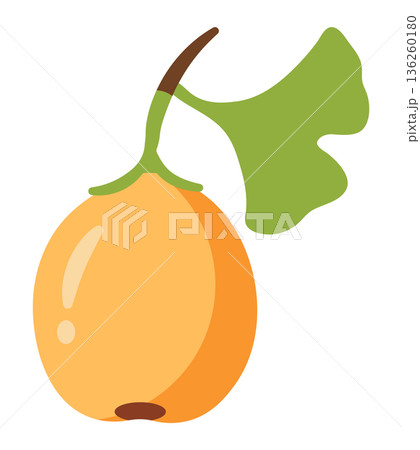 Stylized illustration of a Ginkgo biloba fruit with a single leaf and stem, on white. 136260180