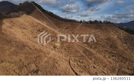 高座山のすすき野原, 山梨県富士吉田市 日本 136260511