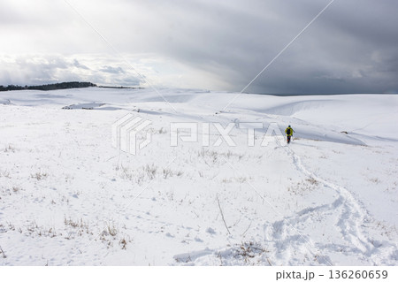 スノーシュートレッキングのイメージ 鳥取砂丘の雪景色 スノーシュートレッキングのイメージ 鳥取砂丘の雪景色 136260659