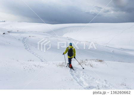 スノーシュートレッキングのイメージ　鳥取砂丘の雪景色  136260662