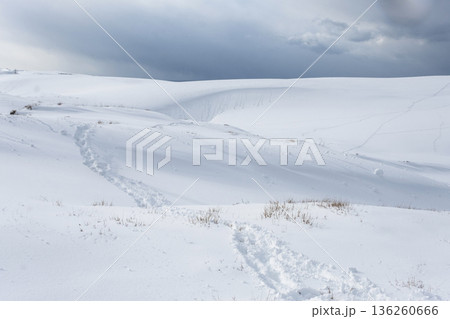 スノーシュートレッキングのイメージ 鳥取砂丘の雪景色 スノーシュートレッキングのイメージ 鳥取砂丘の雪景色 136260666