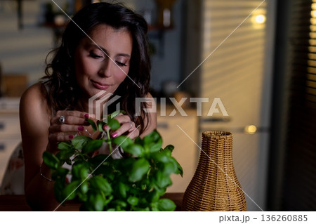 Closeup of hands pruning herb plant, Indoor scene with woman tending aromatic basil plant carefully, Relaxed woman gently trimming basil leaves on wooden table at night Closeup of hands pruning herb plant, Indoor scene with woman tending aromatic basil plant carefully, Relaxed woman gently trimming basil leaves on wooden table at night 136260885