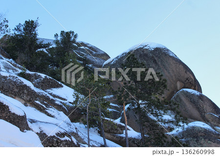 Winter landscape with snow covered boulders and pine trees in Krasnoyarsk Pillars national park. Natural rock formations for outdoor travel. Winter landscape with snow covered boulders and pine trees in Krasnoyarsk Pillars national park. Natural rock formations for outdoor travel. 136260998