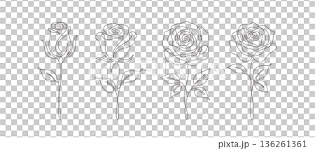 バラの一筆書き線画イラストセット　蕾から満開まで　線幅変更可能なベクター素材 136261361