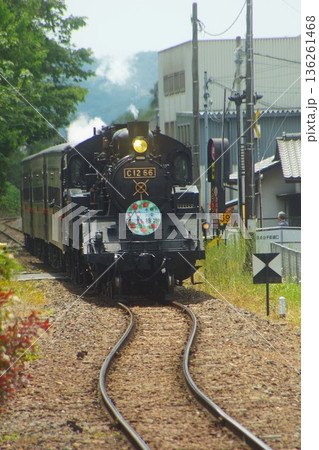 真岡鉄道の風景 SLもおか号(C12 66)益子駅付近 真岡鉄道の風景 SLもおか号(C12 66)益子駅付近 136261468