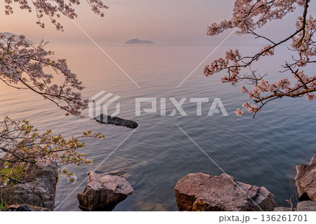 滋賀県高島市高海津大崎の桜と竹生島を撮影 滋賀県高島市高海津大崎の桜と竹生島を撮影 136261701
