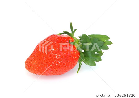 採れたてのイチゴ（やよいひめ） 136261820