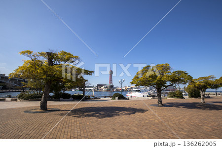 快晴の空のもと博多ぴあトピア緑地から見た博多ポートタワーと博多港 快晴の空のもと博多ぴあトピア緑地から見た博多ポートタワーと博多港 136262005