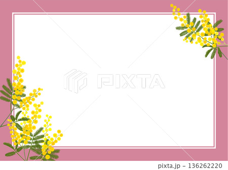 ミモザのフレーム（A4横・ピンク） 136262220