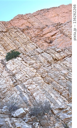Tilted Bedding Planes And Resilient Xeric Plants On Slope. Structural Geological Features With Sharp Fractures And Sparse Droughtresistant Shrubs On Inclined Layers 136262266