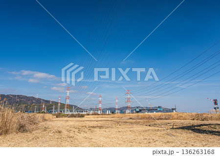 淀川右岸河川敷に広がるヨシ原　大阪府高槻市 136263168