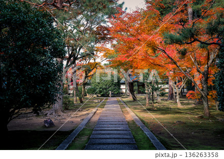 Secluded Zen temple garden at privately opened Ryusho ji Kyoto Nov 24 2025 Secluded Zen temple garden at privately opened Ryusho ji Kyoto Nov 24 2025 136263358