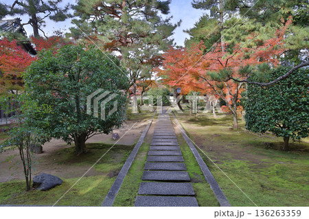 Secluded Zen temple garden at privately opened Ryusho ji Kyoto Nov 24 2025 136263359