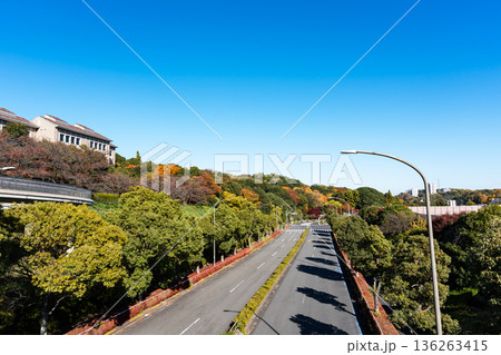 柚木812号線の歩道橋から東京都立大学東交差点方向を眺める 東京都八王子市南大沢 柚木812号線の歩道橋から東京都立大学東交差点方向を眺める 東京都八王子市南大沢 136263415