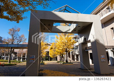 東京都立大学の門をくぐる 東京都八王子市南大沢 東京都立大学の門をくぐる 東京都八王子市南大沢 136263421