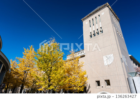 東京都立大学のイチョウ並木と塔　東京都八王子市南大沢 136263427
