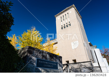 東京都立大学の入口付近　イチョウ並木と塔　東京都八王子市南大沢 136263428