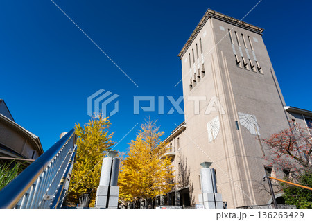 東京都立大学の入口付近にあるイチョウ並木と塔　東京都八王子市南大沢 136263429